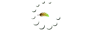 FF Non Woven Logo